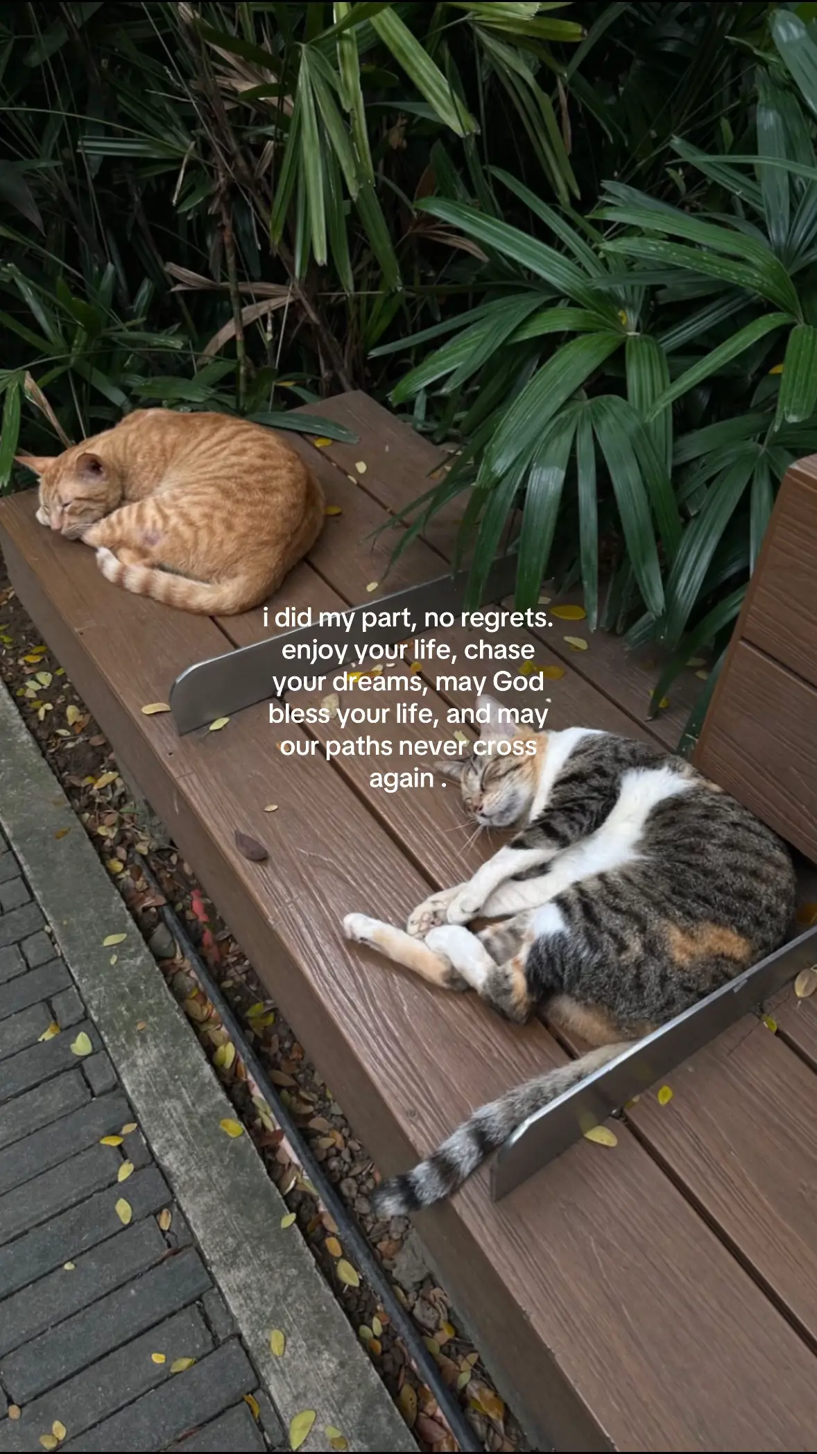 but sometimes I hope our paths cross again nyeheheh #fyp #real #him #contentonly 