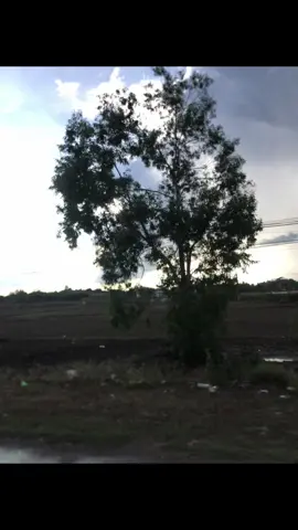 အလွတ်🤓#viewsproblem #fvpシ #viewsproblem #livephotos #tiktokviral #viralvideo #vietnam 