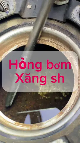 Hiện tượng bình xăng rỉ trong thời gian gần đây gây hoang mang#anhthomay90 #sh #shmode #vario #vision #xetayga #lead125 #phugiaxang 
