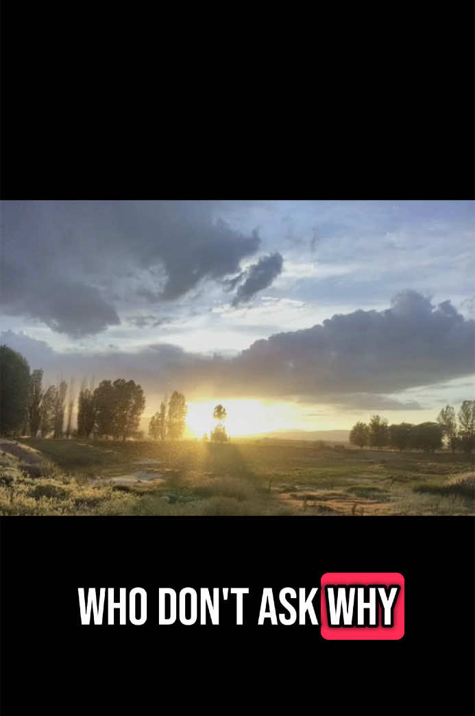 THE CURSE OF KNOWING TOO MUCH #knowledge #curse #sunsets #goldenhour #fyp