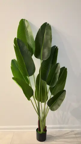 Elegant Artificial Bird of Par#TikTokShop #sale #wonmen #family #viralvideo #fashion #fashiontiktok #homedecor #decor #picture #videos 