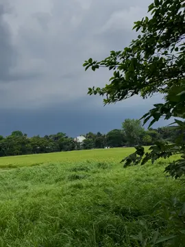 মৃত্যু এসে মুছে যাক সকল দুঃখ ❤️‍🩹🙂!! #foryoupage #fyp #tiktokbangladesh #bdtiktokofficial🇧🇩 #unfrezzmyaccount #ayansutra928 @TikTok @TikTok Bangladesh 