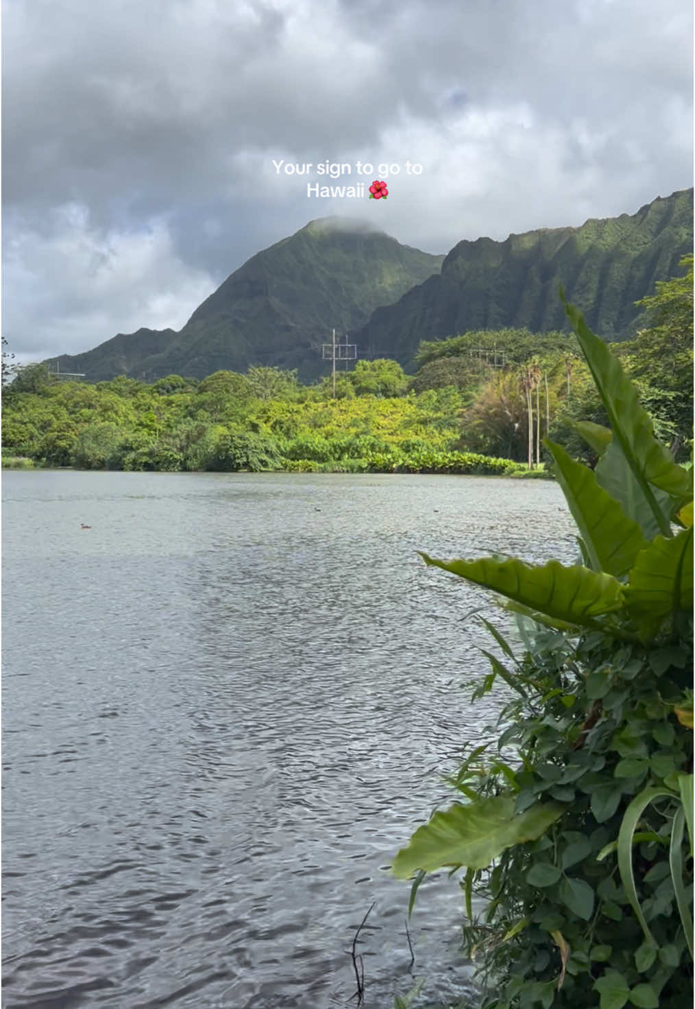 #hawaii #hawaiilife #islandlife 