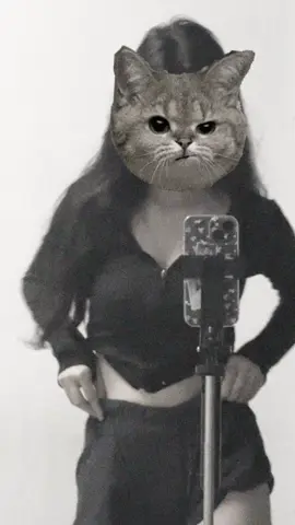 อย่าปิดการมองเห็นเลยนะติ๊กต๊อก #fypシ゚ #ฟืดดด 