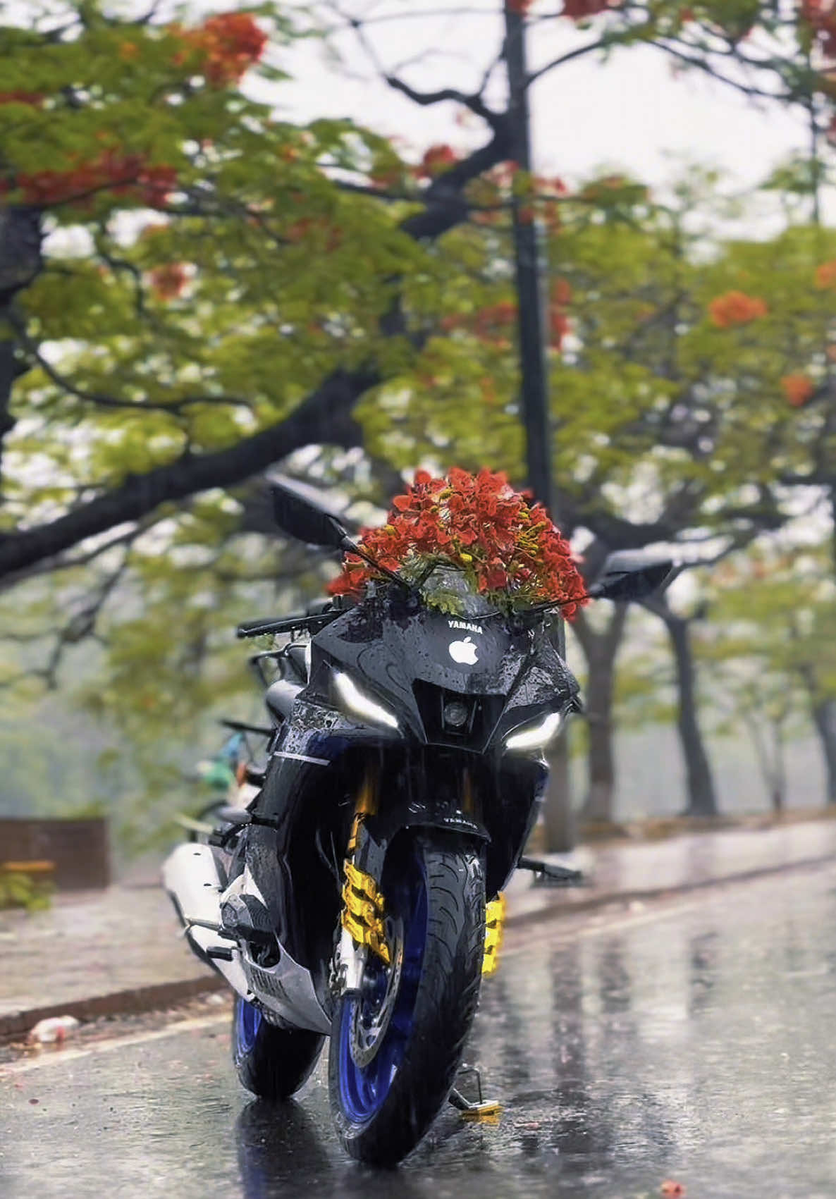 Emotion Bhai 🖤🥰 #cupcut #attitude #viral_video #newtrand #asad_shaheb.09 #bike_lover #biker #foryoupage #video #attitudeboy #tiktokbangladesh @TikTok Bangladesh @TikTok @For You @For You House ⍟ 
