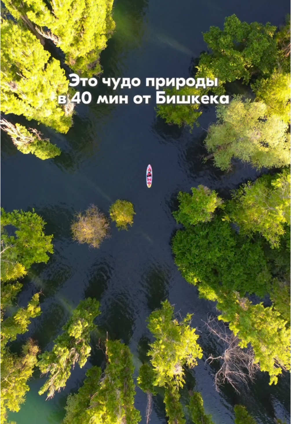САПБОРДЫ БИШКЕК /ЗАТОНУВШИЙ ЛЕС Бронь по номерам: 0998100424 #сапбордыбишкек #тунуксап #затонувшийлесбишкек #алаарчинскоевдхр #прозрачнаялодкабишкек #каноэбишкек
