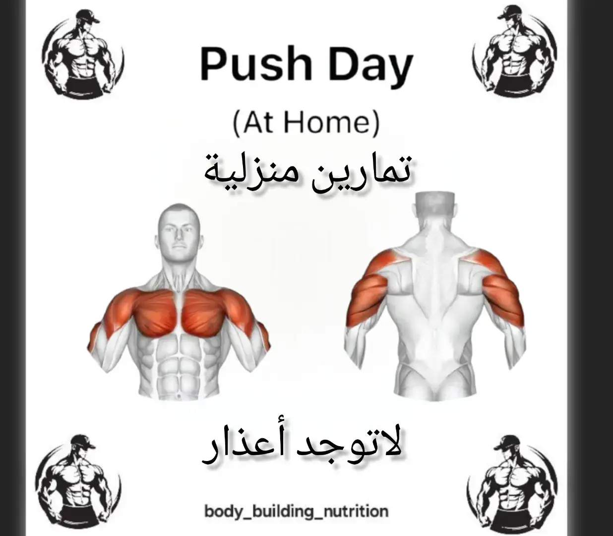 #رياضة_رجيم #تمارين #نادي #جيم_كمال_الأجسام_صحي #دايت #صيام_متقطع_رشاقة_عضلات_نظام_غذائي_خسارة_الوزن #إلهام #طبخ #أكل #تغذية #كمال_الأجسام #رياضة  #تحدي_الذات #اللياقة_البدنية  #gym #Fitness #workout #تمارين_الجسم_البطن_الظهر_منزلي #تنشيف  #رفع_أثقال #تقوية_بناء_العضلات  #عضلات #NoPainNoGain #StayStrong #NeverGiveUp #KeepGoing #BeastMode #StrongerEveryDay #تغذية_رياضية #نظام_غذائي #حرق_الدهون #زيادة_الوزن #HealthyLifestyle #Nutrition #ترند #explore #viral #foryou #fyp #اكسبلور #تيك_توك_الجزائر #gym #GymTok #gymmotivation #motivate #exercise #rutina #ejercicio #rutina #GymLife #triceps #tricepsworkout #tricepsday #arms #body_building_nutrition 