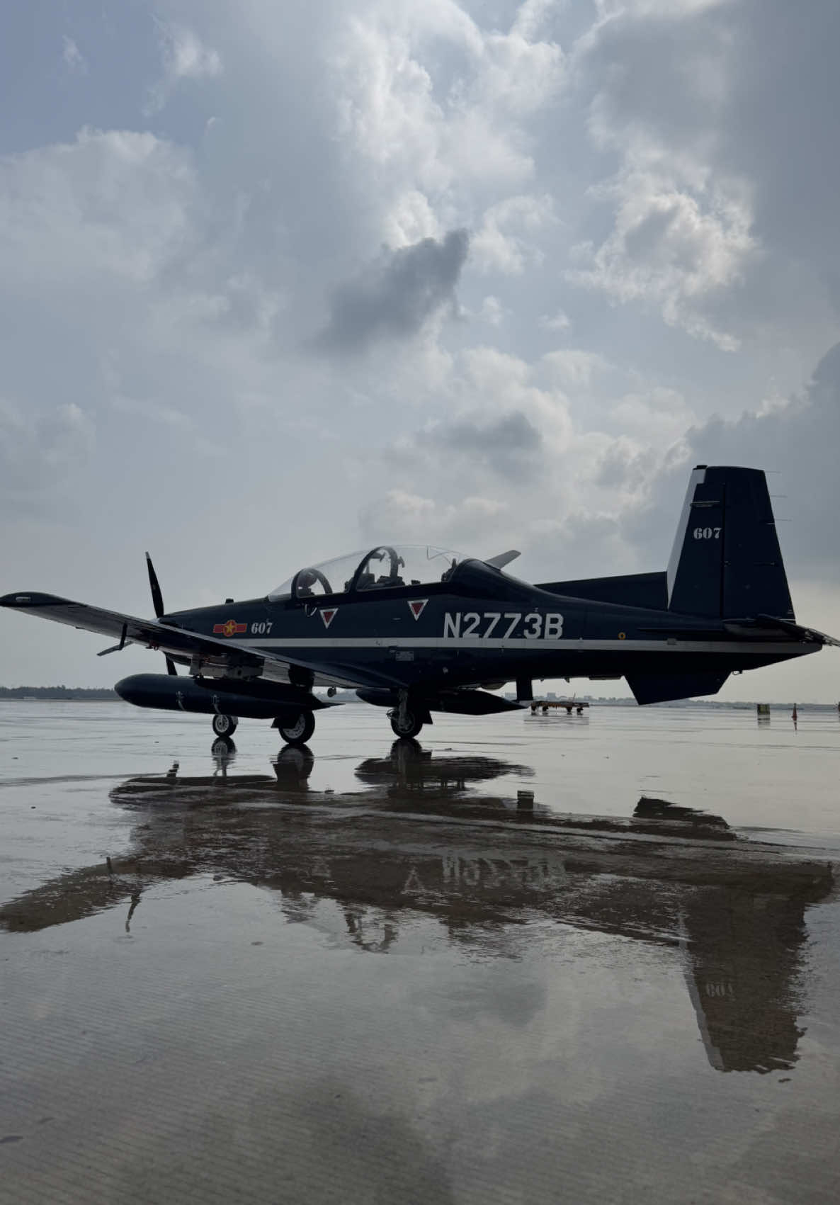 Không quân Nhân dân Việt Nam tiếp nhận thêm 2 máy bay huấn luyện sơ cấp T6C Texan trước thềm đại lễ 30/4🇻🇳