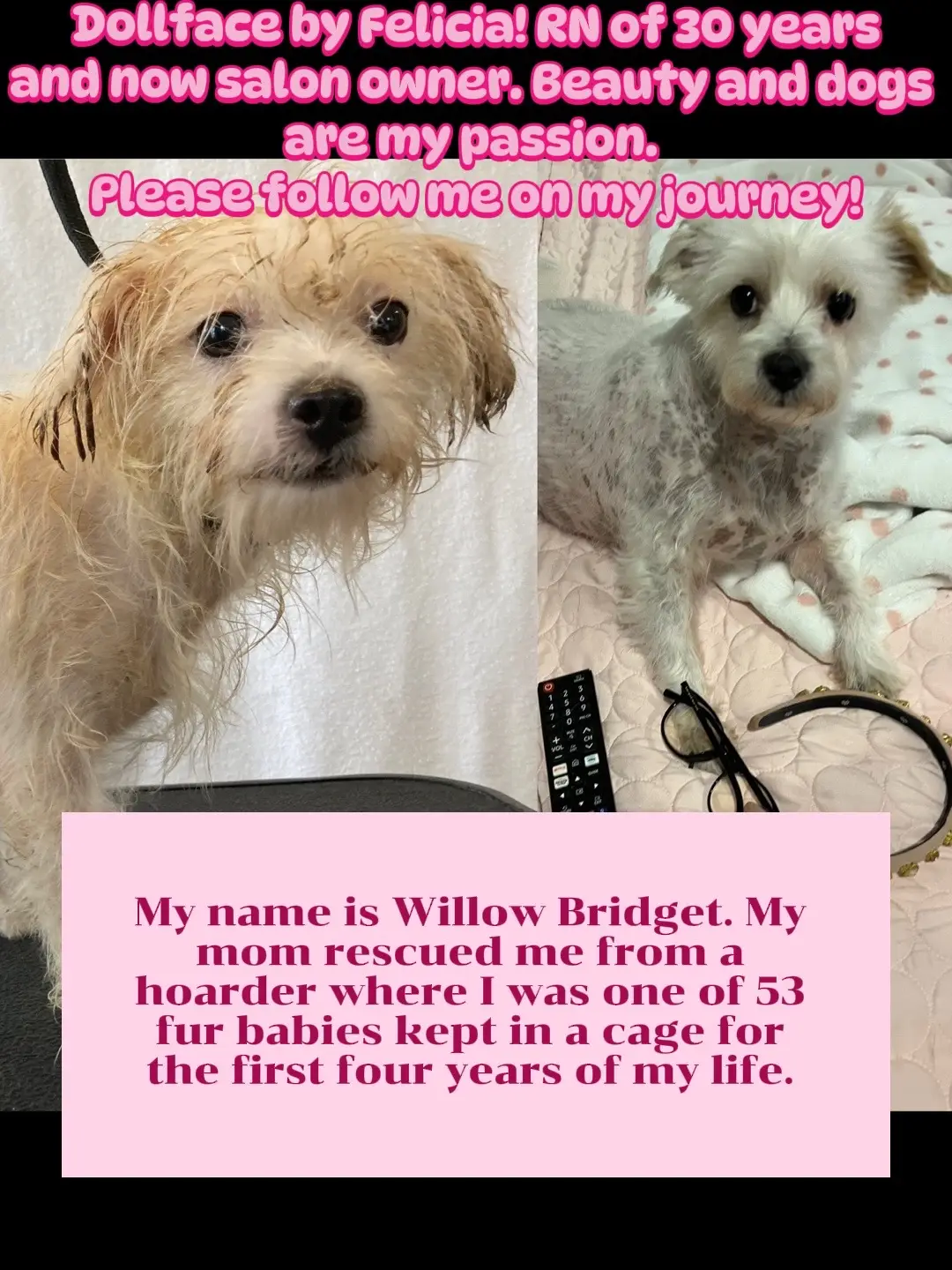 #dollfacebyfelicia #usa🇺🇸 #gorgeous #positivity #lovemyclients #dermalogica #RN #mexican #venezuelan #latin #latino #argentina🇦🇷 #japan #shoheiohtani #weddingmakeupartist #beautysalon #poland🇵🇱 #england🇬🇧 #China #olderwomeninbusiness #doglover #dogrescue #furbabylove #furbaby #underdogrescue #plussize #plussizefashion #plussizemakeup #ilovedogs #animalrescue #plussizequeen #dubai🇦🇪 #jamaica #canada🇨🇦 #doglove #dogsoftiktok #dogs #dogslivesmatter #caribbean #italy🇮🇹 #germany🇩🇪 #finland🇫🇮 #Norway #denmark🇩🇰 #croatianbeauty #florida #hawaii #womanownedbusiness 