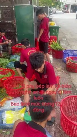Tuyển 15 bạn phụ bếp làm tại bãi biển cửa lò nghệ an#CapCut #trending #xuhuong #xuhuongtiktok #trieuview 