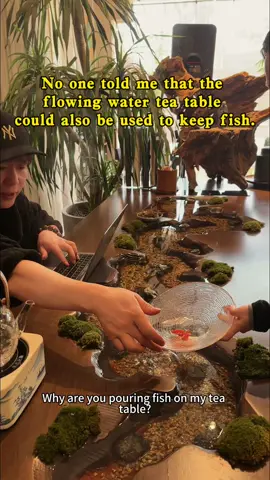 No one ever told me this flowing tea table could double as a fish tank.#china #chinesestyle #koi #teatime #diningtable #fish #table #desk #coffeetable 