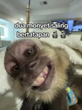 🗿🗿#meme #moots? #gasukaskip📵 #foryou #fyp 