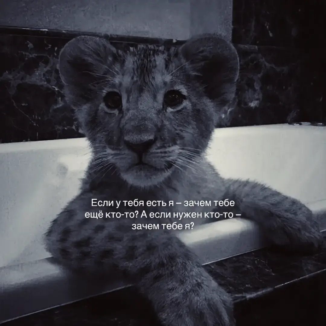 #гафуров #fyp #щп #969 