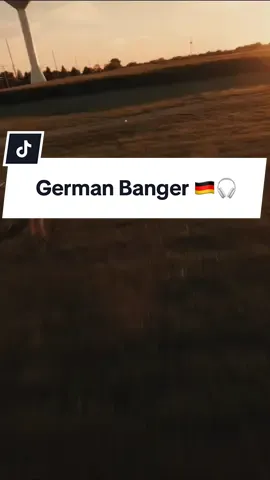 Bewertet den Song von 1-10 🇩🇪🎧 #herzüberkopf #JORIS #songlyrics #lyrics #lyricsedit #deutschemusik 