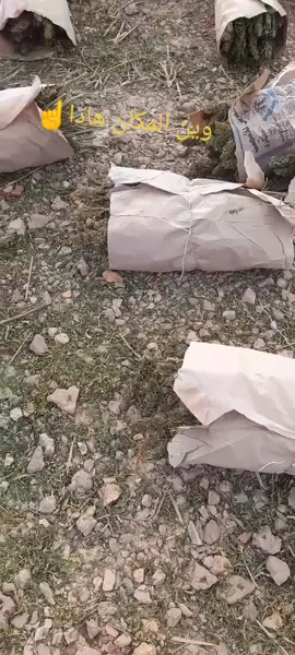 ##لايك_فولو #بياضيه_ولنا_في_قمة_المجد_رايات212 #بدوسيناء_بدومصر_______بدومطروح #هيدرو#صدر 