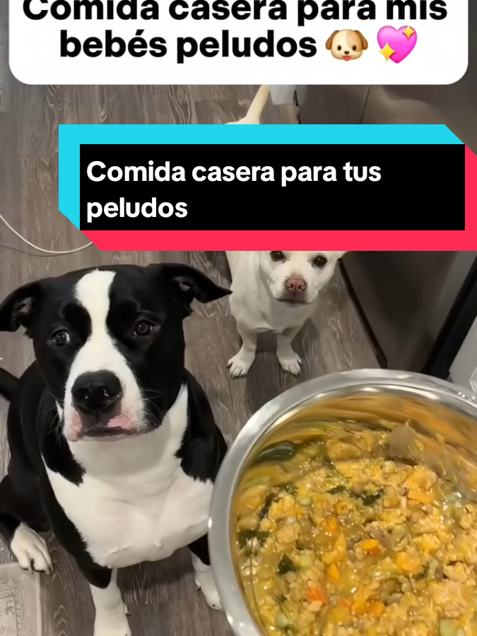 pruébala y después me dices. . . .#DueñosResponsables #GuíaNutricional #AmorAnimal #VidaSaludable #MascotasFelices #ComidaNaturalParaPerros #comidaperros 