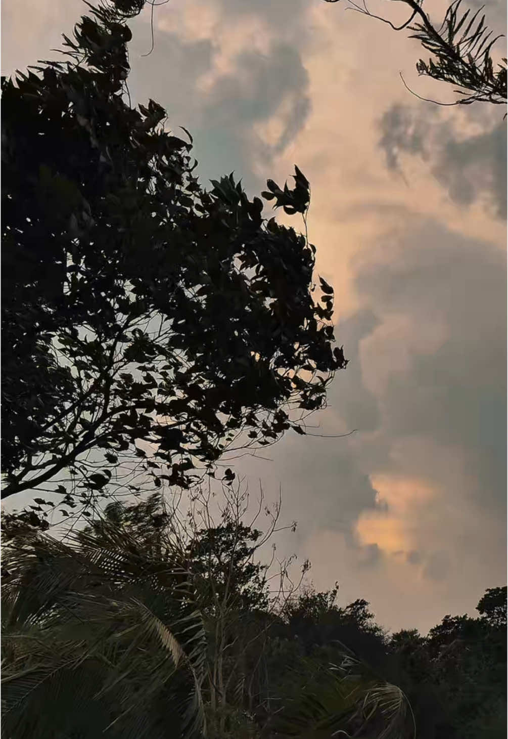 বৃষ্টির চেয়ে বৃষ্টি আশার আগ মুহূর্ত বেশি সুন্দর ! 😩❤️ #foryou #foryoupage #edit #videography #cinematic #viral #kaiummahamudminar  @TikTok Bangladesh 