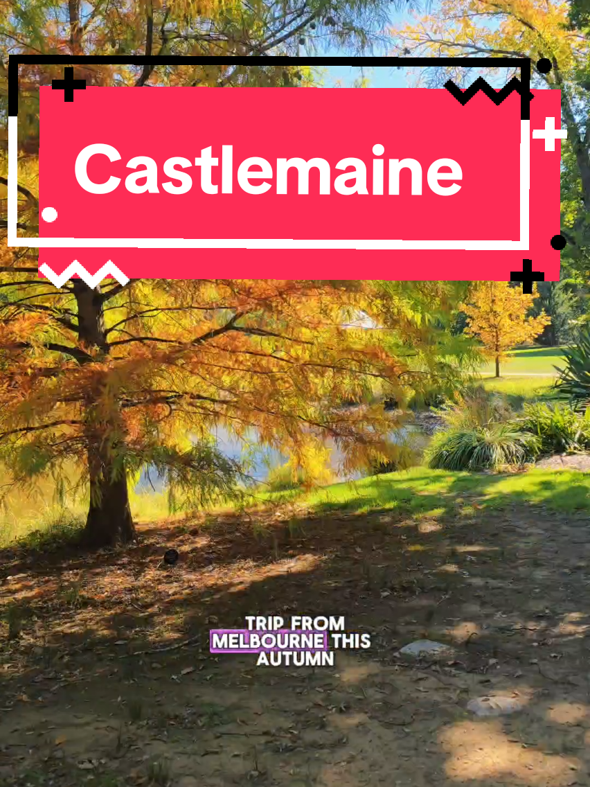 Ad | This April local venues throughout the Mount Alexander Shire and the Macedon Ranges are competing in the Edgy Veg Awards to create the best plant based dish 🍅🥕🍆 There's so many beautiful little towns you can visit that filled with vibrant Autumn colours 🍁🍁 For a fun day trip, we suggest heading to the quirky town of Castlemaine and visiting: 🍂 The Botanical Gardens 🏞 The Vaughan Springs 🌽Lazy Bones Cafe for their sweet potato and corn fritters 🍰5 Flags General Store for Toby's vegelicious chocolate cake 🥧 Johnny Baker for their green curry pie You can score each dish, including from one of the above venues to go in the running to win prizes and help your favourite spot win the title 🏆 #castlemaine #melbournedaytrip #melbourneautumn #thingstodomelbourne 
