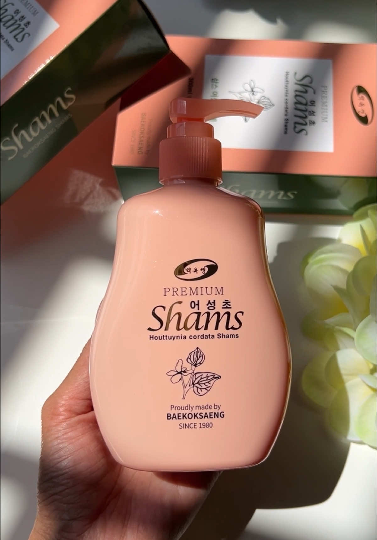 ទឹកអនាម័យ Shams ផលិតផលកូរ៉េ 🌺🇰🇷