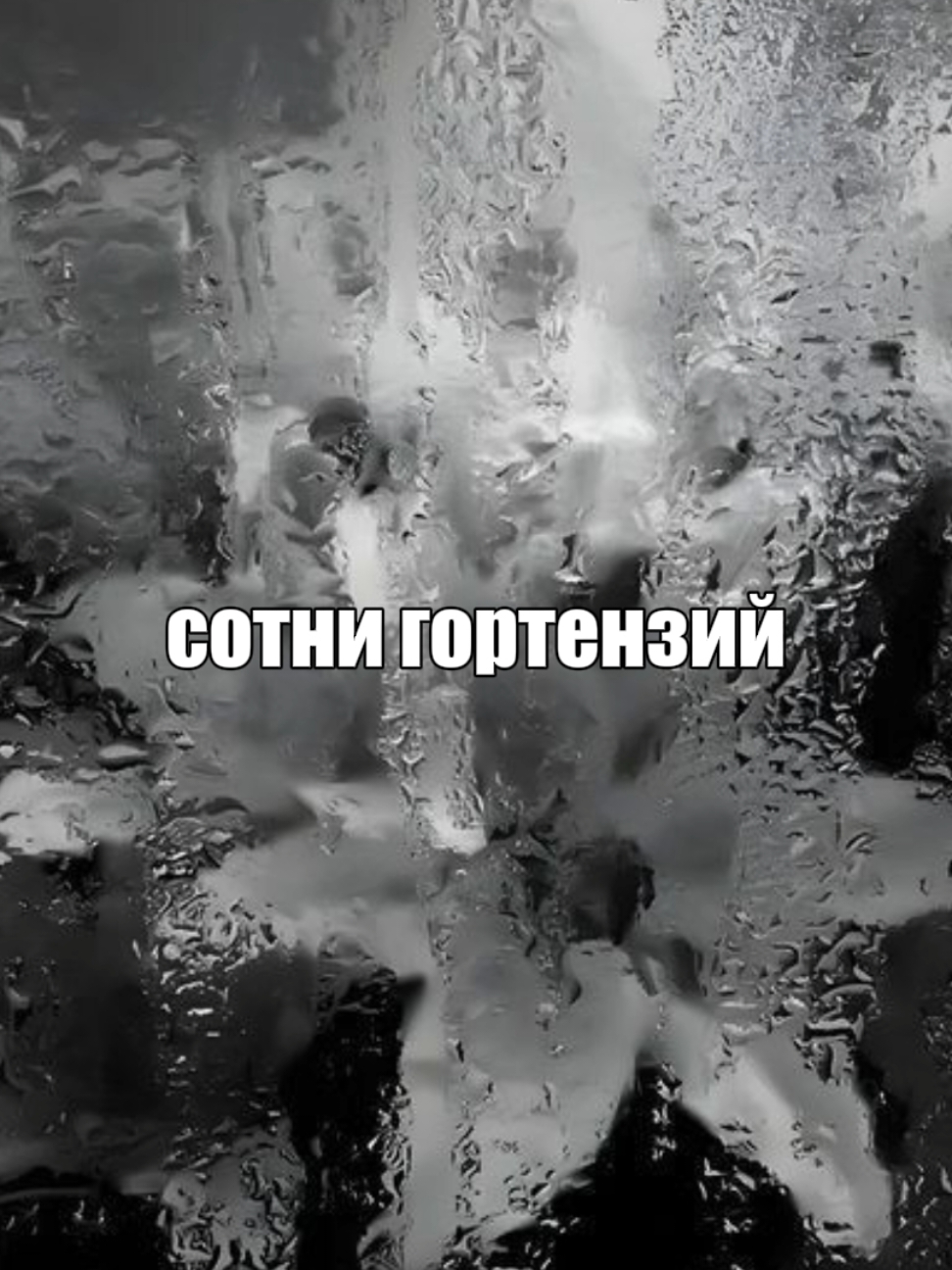 пускай твоё нутро позирует мне, пока я медленно о нем пишу музло | #песня #триднядождя #глебвикторов #тдд #висхолдинг #444 