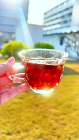 Healthy kidneys #kidney #health #tea #TikTokShop 