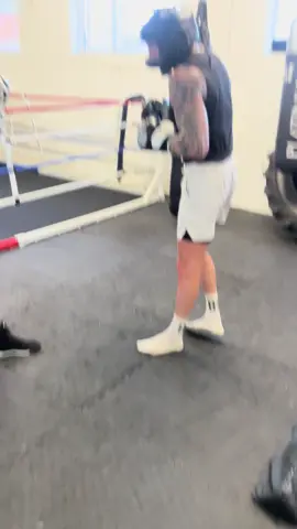 A year on next month and the development is crazy for @BigManTraining Monday 5 go into camp and he defends his title on June 14th #youdontplayboxing #boxing🥊 #boxinggym #Fitness #tik_tok #champion #eastbourne #hooligang 