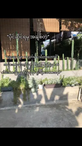 ဟူးး😌❤️‍🩹#foryou #fpyシ #မေ့နေကြပြီလားဟင် #tiktok #fppppppppppppppppppp #ပေါက်ရောက်စမ်း #viewတေရှယ်ကျ #crdစာသား 