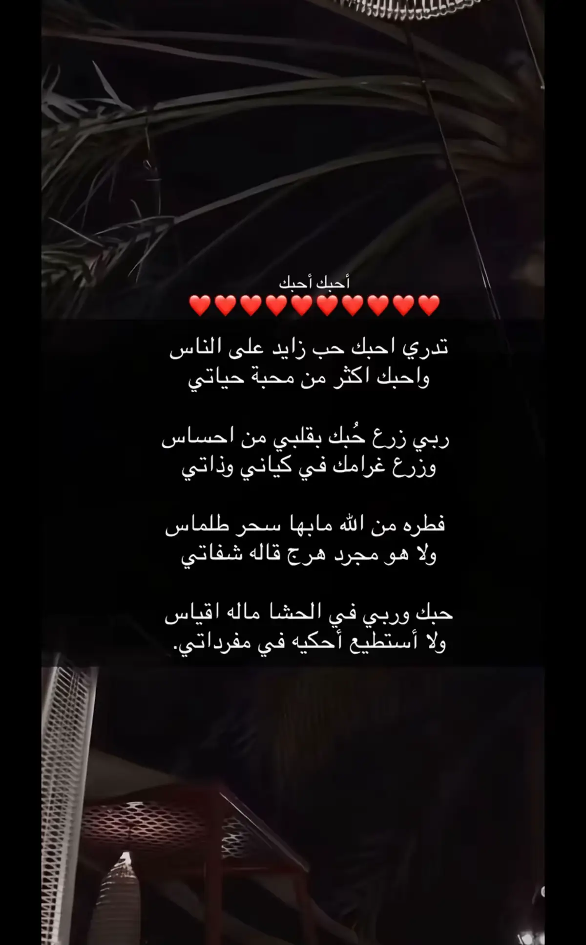 #احبك احبك❤️#جبراتت📮 #هاشتاق #قصايد_شعر_خواطر #اكسبلورexplore #fypシ゚ #لايكات #اكسبلور #الشعب_الصيني_ماله_حل😂😂 # 