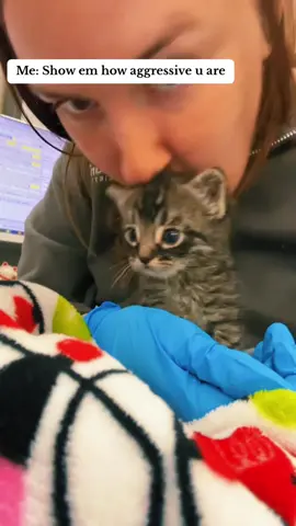 Cat imitates people #cat #funnycat #funny #funnyvideo #funnyvideos #funnytiktok #foryour #catsoftiktok #tiktokcats #tiktok #funnycats #foryou 