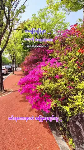 #တချိန်ချိန်မှာ #သီချင်းလေးကြိုက်လို့ပါ #မူရင်းကိုcrdပေးပါတယ် #အားပေးသူတိုင်းကိုကျေးဇူးတင်ပါတယ်😘😘😘 