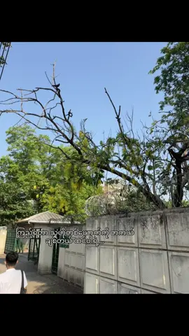 ကိုယ်ကို့တော့ သေသေရှင်ရှင် လှည့်မကြည့်ခဲ့တာ သူနဲ့ကျတော့ မတူပါလား 😅