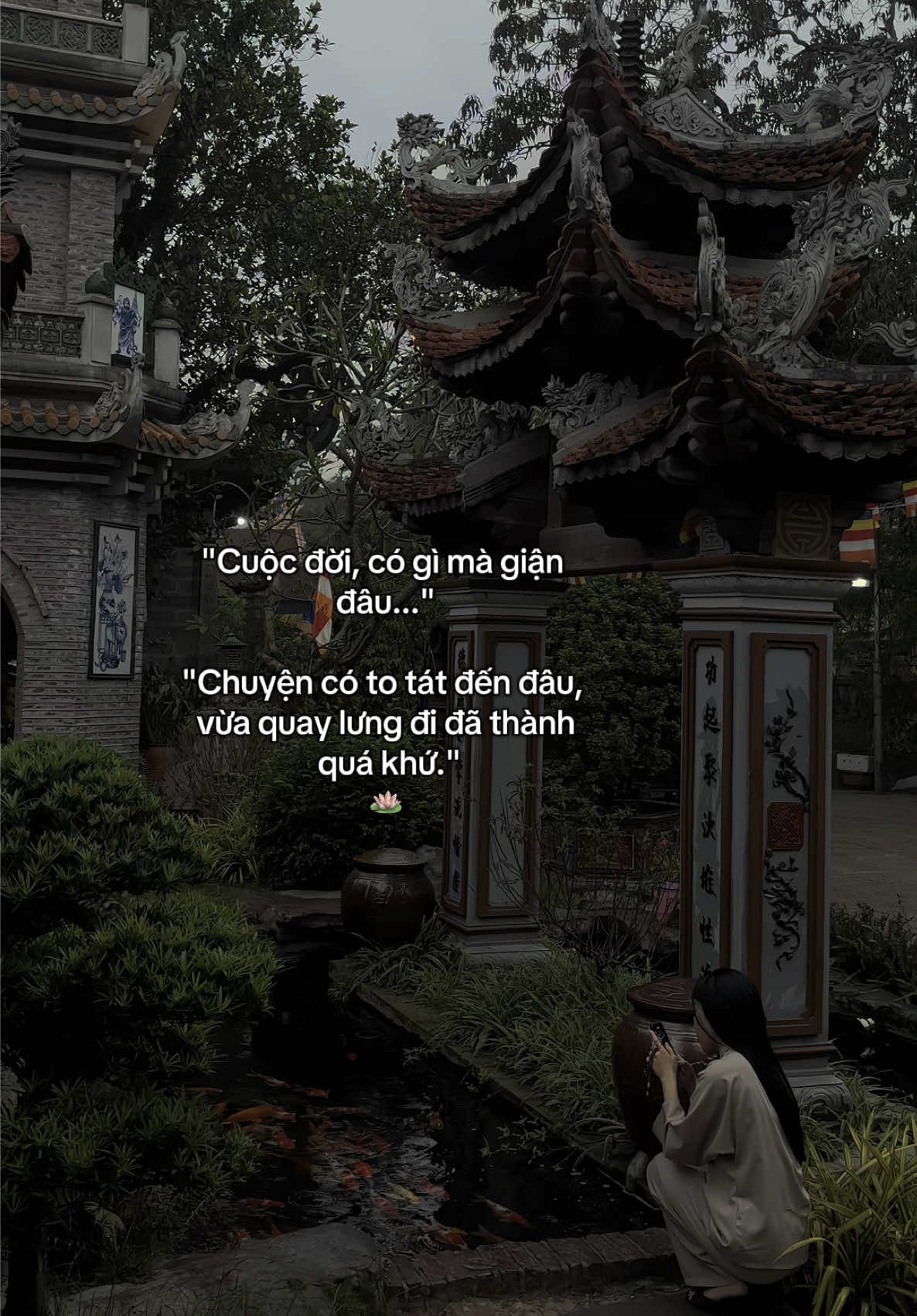 Nam Mô A Di Đà Phật🙏#vothuongphatdao #dichuamacgi #reviewdodichua #loiphatday #dichuamacgi258 #phật #xh #viral #nammoadidaphat 