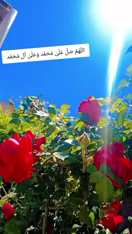 الهم#الهم_صلي_على_محمد_وأل_محمد #هەولێر_سلێمانی_دهۆك_ڕانیه_کەرکوک_زاخۆ #خودایە_دڵمان_پرکەی_لەئیمان🥺 