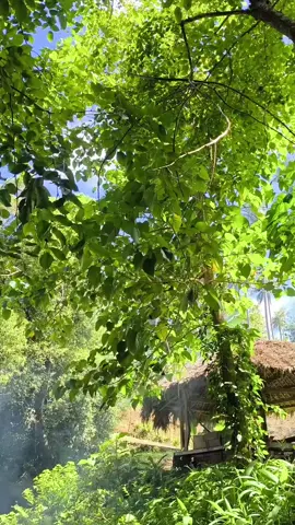 letchon manok sa ilog 🍃