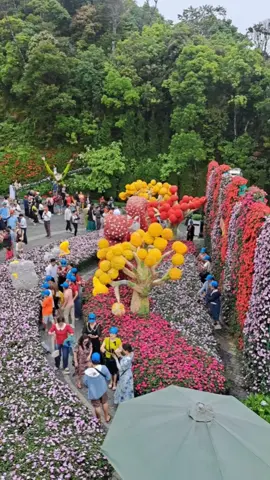 Bana Hills Danang, Vietnam ! #petervietnamtravel  #vietnammuslimtours #banahillsdanangvietnam  #banahills #vietnam  #travel 