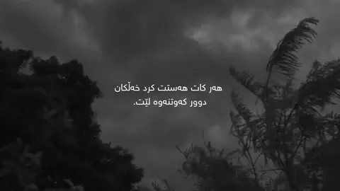 #foryou #parati #kurdistan 