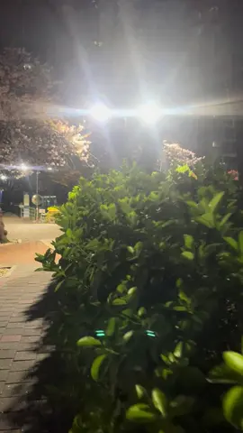 누구의 하루도 시작되지 않은 시간에