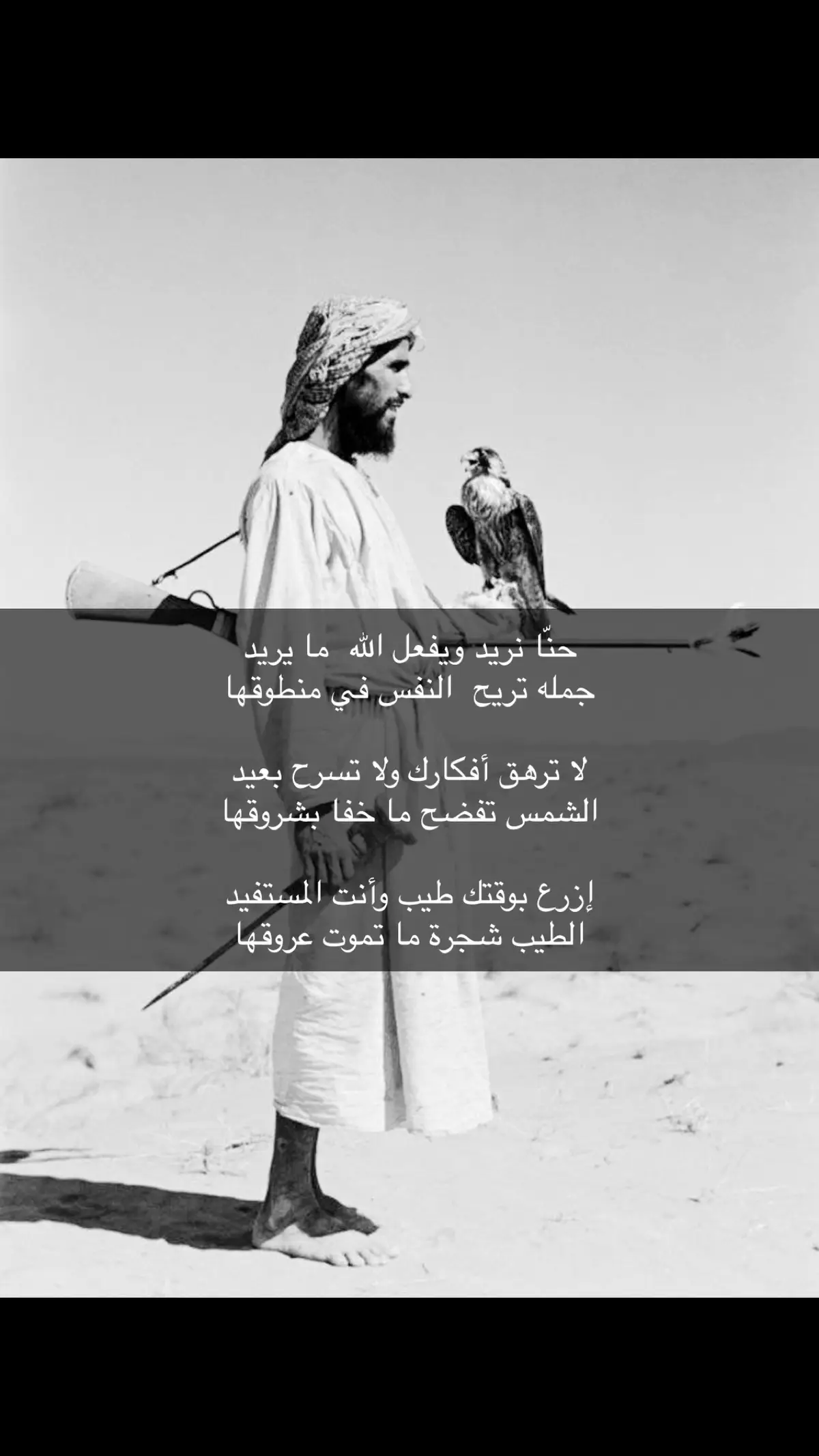 #ابيات_شعر #fyp 