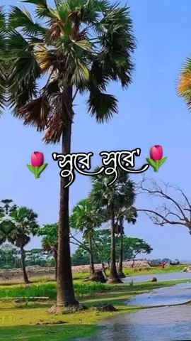 #সুরে সুরে গুনগুনিয়ে কত কথা যায় শুনিয়ে দক্ষিণা বাতাস#hmmঅনেক_ভালোবাসি_রে_তোমাকে❤️loveyo#foryou#tiktok @💓🥀💞❤️💗🥀Pakhi💓🥀❤️❤️🥀🥀 @পৃথিবীর সব সুখ তোমায় দিলাম @Poly Islam @👁️মায়াবী চোখ👁️ @🌃তুমি আমার সেই তুমি জান🌃 @Md Shorif Mia @Akhi 