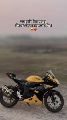 শখের জিনিস দেখার ভিতর