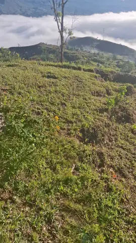 POV: Eres fan del cielo y los paisajes  #nature #naturaleza #tourism  #adventure #travel #traveler  #wanderlust #tour #trip #viajes  #visitperu #igersperu  #perusuper #ctperu #peruenunatoma  #landscape #beautiful #amanecer  #atardecer #sunrise #sunset #juanjui  #peru #jungle #color #photography  #naturephotography #tiktok #reels  #Viral 