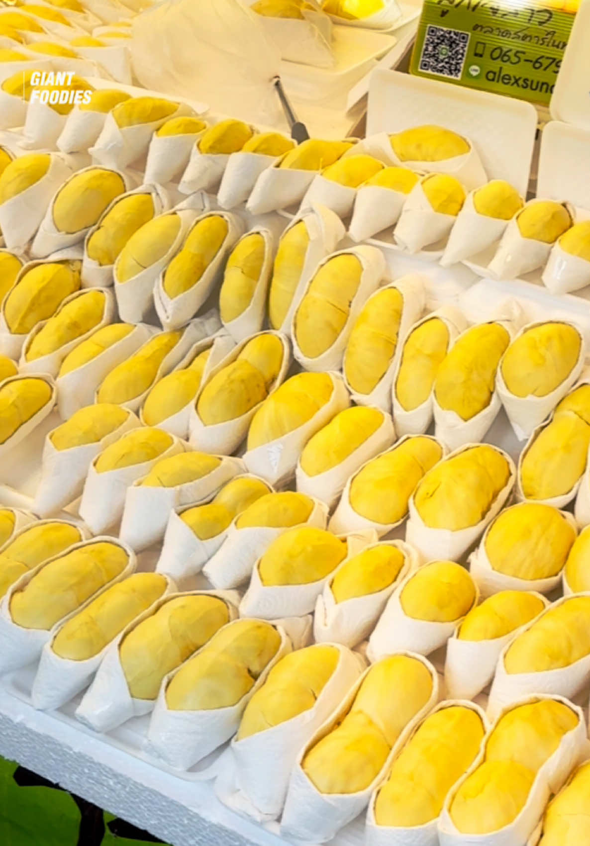 💛 ทุเรียนหมอนทองระยอง อร่อยหอมละมุน พูใหญ่คัดสวยๆ ส่งทั่วไทย ร้านลูกเจ้สาวตลาดนัดสตาร์ไนท์พล่าซ่าระยอง ซอย 5 หัวมุม เปิด 15.00-21.00 น. #ทุเรียน2025 #ทุเรียนระยอง #หมอนทอง #ไจแอนท์ฟู้ดดี้ #giantfoodies #กระเพาะคราก #ระยอง #ปักหมุดความอร่อย #ทุเรียนลูกเจ้สาว #ระยอง 