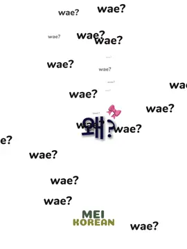 Câu hỏi mỗi khi tui học tiếng Hàn 🤣 왜 tui học quài mà hong hiểu? 왜 왜 왜? #studykorean #xuhuong #fyp #tuhoctienghan #meihoctienghan #wae #trend 