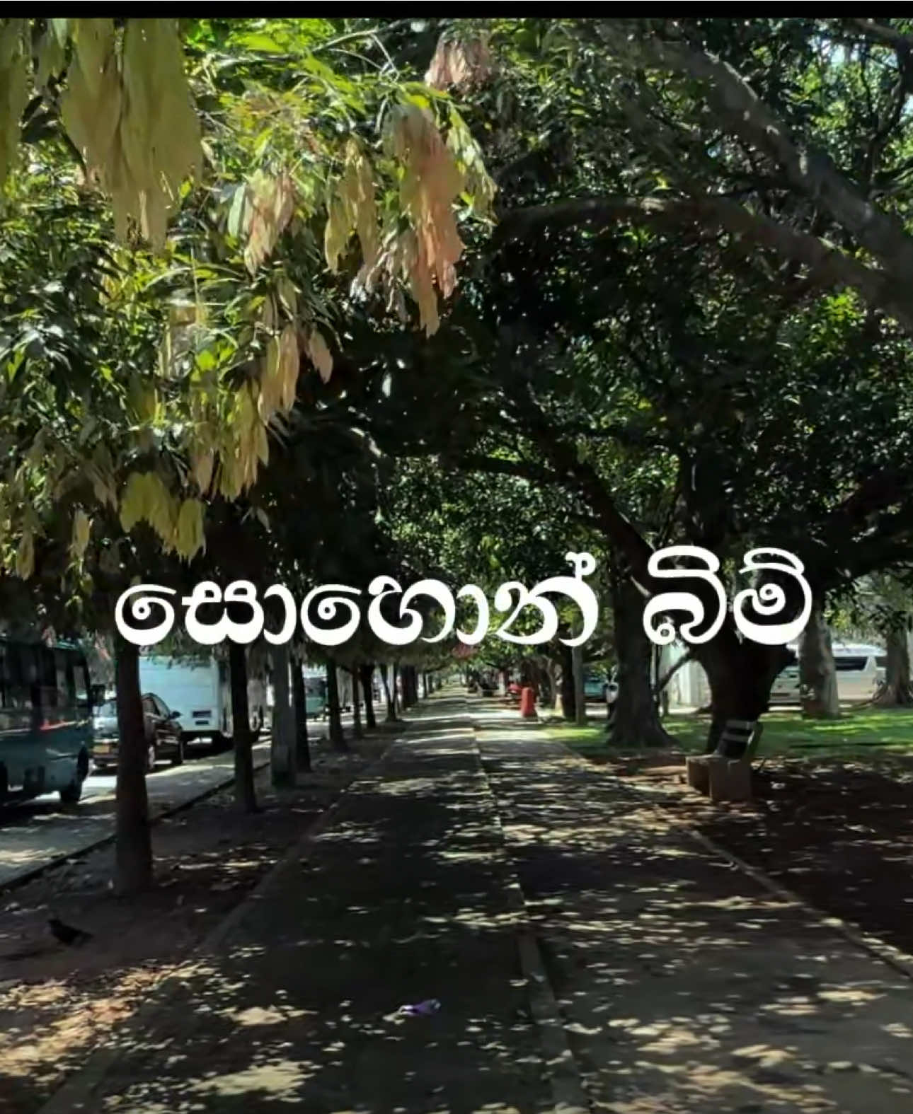ජීවිතේ අපි එනකං බලං ඉන්නෙ නෑ! ඔයා බලං ඉන්නත් එපා!! #dullive #cinematography #storytelling 