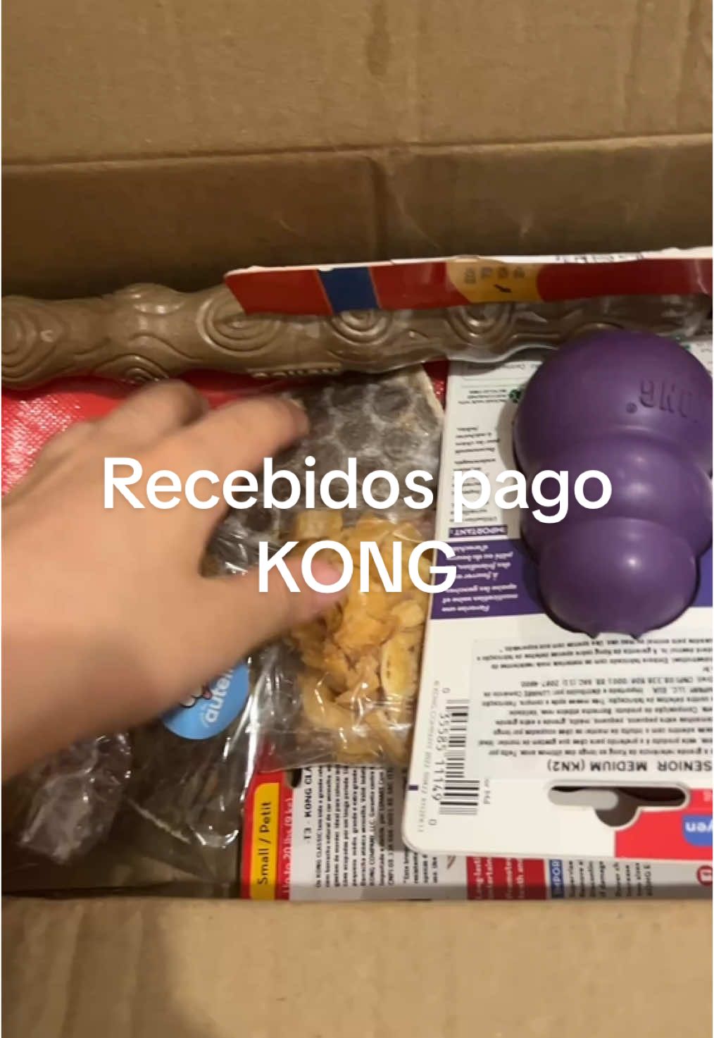 comprinhas da Kong melhor marca de produtos caninos #kong #caes #bordercollie #enriquecimentoambiental 