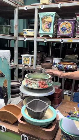 siêu phẩm Phật Sơn #chaubonsai #chautaubonsai #tuyettrochautau #gomphatson 