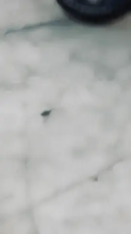 হয়তো আমি তোমার জীবনের সেরা মানুষ নই, কিন্তু একদিন তুমি আমার নাম শুনে হেসে বলবে 