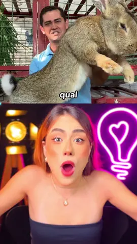 qual o tamanho REAL dessas coisas?