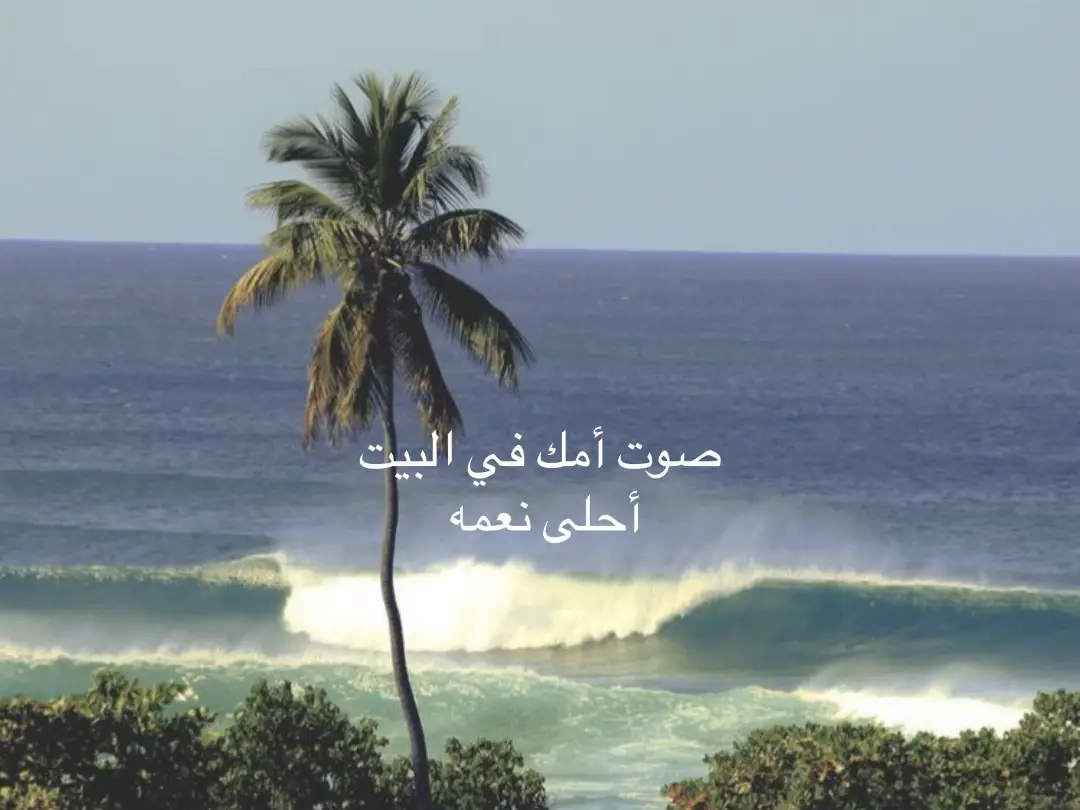 يارب احفظها لي  #mama💘