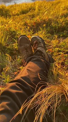 sunrise merbabu ga pernah gagal #pendakigunung #pendaki #merbabu #fyp